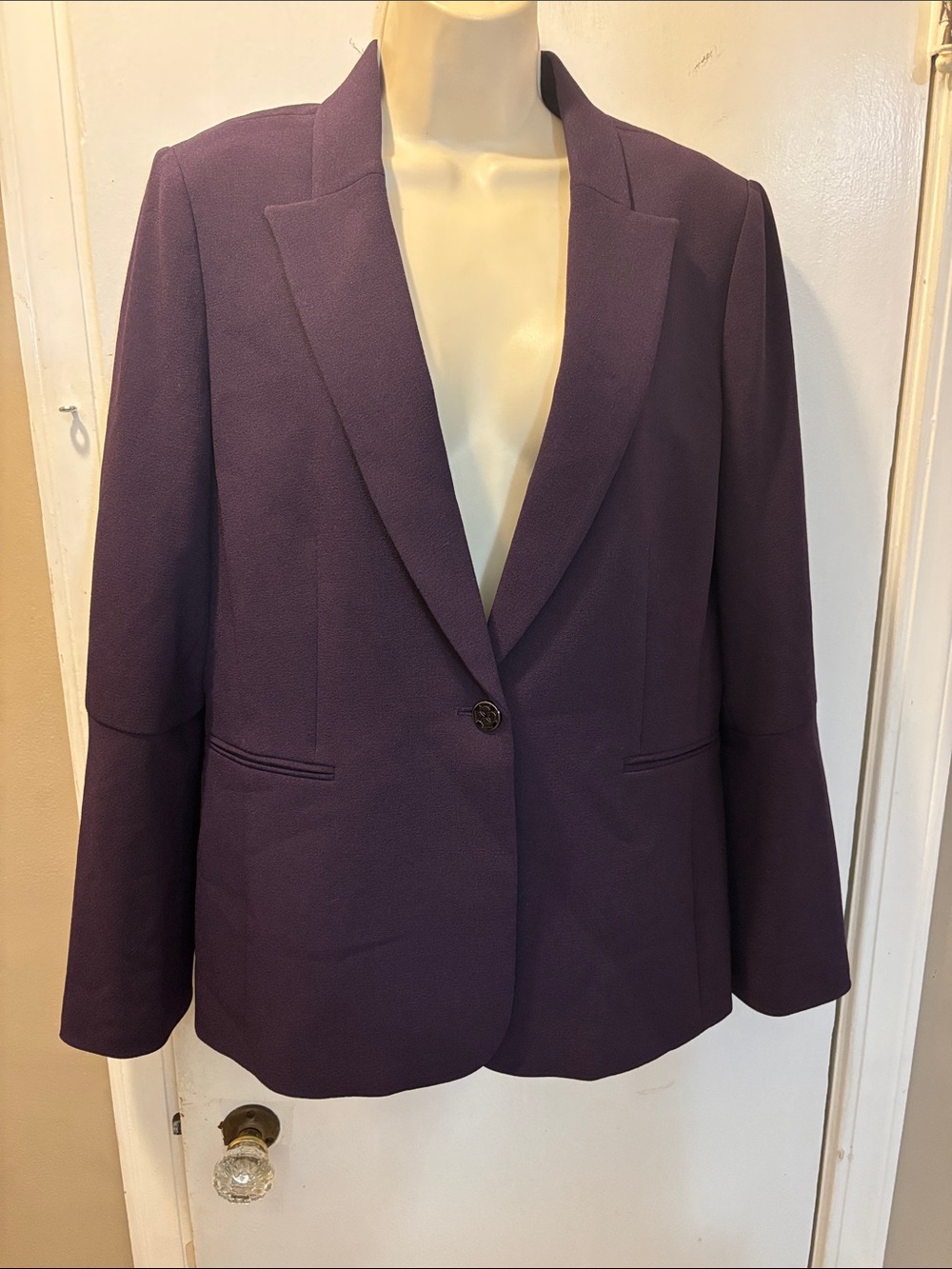 Tahari 10 Plum Blazer Jacket - Classic Single-Button lined 26-387